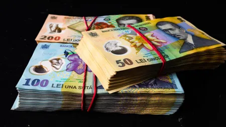 Decizia luată de Guvern. 1.000 de lei, bani de la stat pentru cei care îndeplinesc o anumită condiție