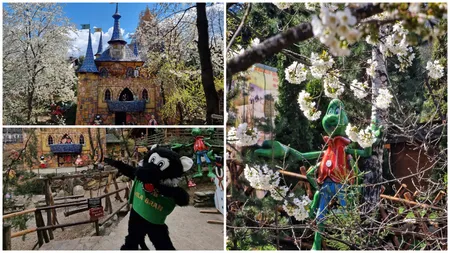 Valea cu Povești, bijuteria ascunsă de la Bran. Locul în care adulții își retrăiesc poveștile copilăriei