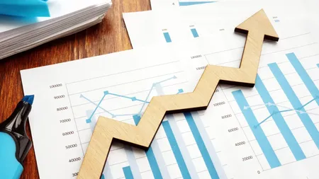 Cele 127.000 de ONG-uri din România, venituri de 1,51% din PIB la sfârșitul anului 2022