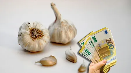 Evaziune fiscală în afaceri cu usturoi. Schema folosită de doi români pentru o înșelăciune din Spania