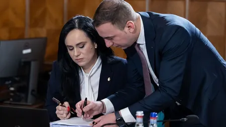 Schimbare istorică pe piața muncii. Simona Bucura Oprescu: „Persoanele fizice pot angaja şi plăti legal personal”