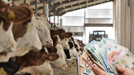 Beneficii pentru fermieri. Se dau subvenții speciale de 300 de euro/an. Care sunt condițiile