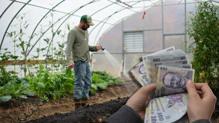 Fondurile pentru instalarea tinerilor fermieri, epuizate. Programul ar putea fi reluat abia în 2028, cred experții