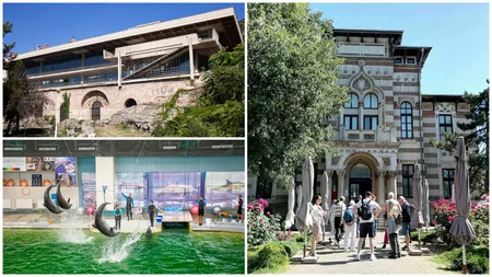 Ce poți face la mare dacă plouă sau nu vrei să stai la plajă. Top 5 idei de activități în Constanța