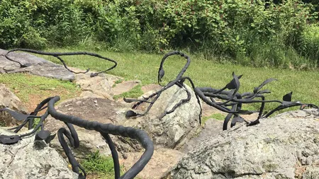 Iluzie optică doar pentru adevăratele genii. Poți vedea șarpele din imagine în 7 secunde?