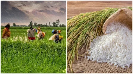 Orezul se scumpește surprinzător. Prețurile ating cea mai mare valoare din ultimii 15 ani