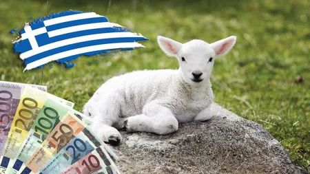 Bătaie pe carnea de miel de la români, în Grecia! Crescătorii de animale greci protestează: „Este o înșelăciune!”