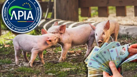 Decizie de ultimă oră despre subvenția APIA de 100 euro! Anunțul făcut de ministrul Agriculturii