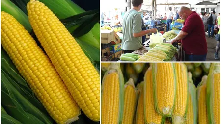 Porumbul dulce a apărut deja pe tarabele piețelor din România. La ce preț se vinde în Piața Obor din București 