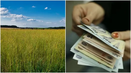 Greșeala pentru care românii pot primi o amendă și de 20.000 de lei. Anunțul momentului pentru proprietarii de terenuri