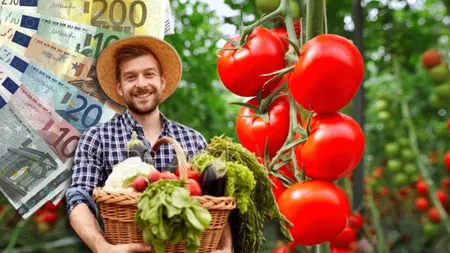 Se dau 1.500 de euro pentru fermieri! Data la care vor intra banii în conturi