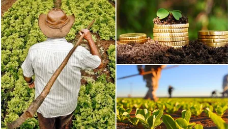 Ajutor financiar majorat cu 7.400 de lei pentru o categorie de români. Cine sunt norocoșii beneficiari