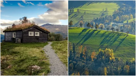 Locul din România în care un teren se cumpără cu un leu pe metru pătrat. Cătunul din țară care a fost lăsat de izbeliște