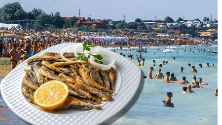 Cât costă o porție de hamsii pe litoral în 2024. Ce buget ar fi necesar pentru mâncare într-un weekend la mare