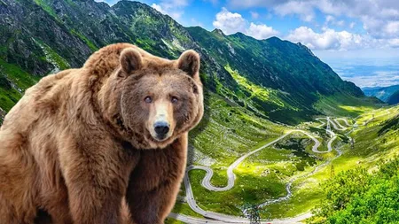 Amenzi de 5.000 lei pentru turiştii care fac asta. Şoferii vor fi filmaţi, iar amenda poate veni şi prin poştă