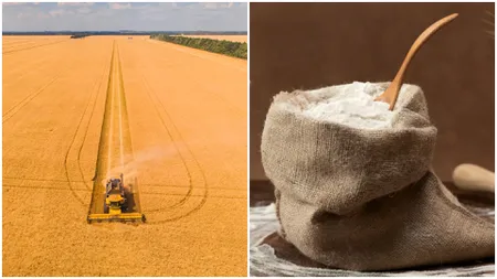 Grâul rusesc și lipsa depozitelor îi aduc pe fermierii români în sapă de lemn. Cu ce probleme se mai confruntă în 2024