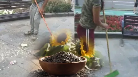 Amenzi dure pentru aruncatul cojilor de semințe pe stradă. Suma diferă de la oraș la oraș