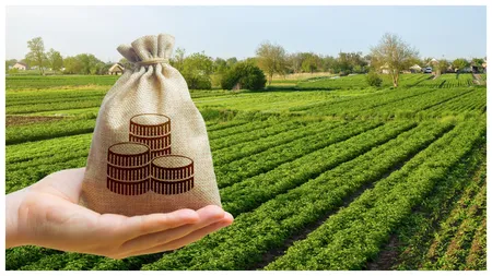 Ajutor financiar în valoare de 15.000 de lei pentru fermierii români! Cine sunt beneficiarii