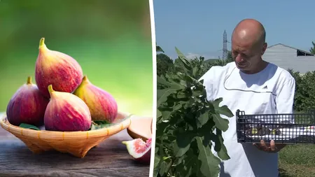 Canicula bagă bani în buzunarele românilor. Valentin vinde un kilogram din  „fructul regilor” cu 25 de lei