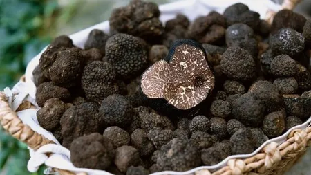 Trufele nu mai sunt la mare căutare! Vânzările în România au scăzut semnificativ: rulajul a fost de 1,9 milioane de lei