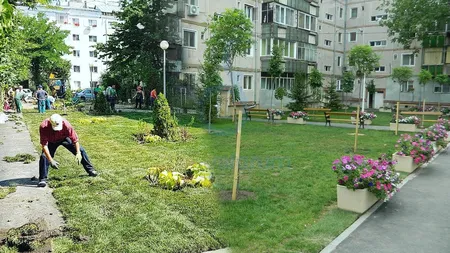 Amenzi uriașe pentru grădinărit. Ce nu ai voie să faci în luna iunie
