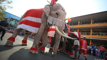 O vizită la Moş Crăciun sau pe plajă în Thailanda începe de la 1.500 de euro