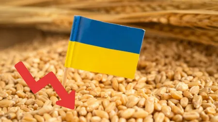 Prăbușirea livrărilor de cereale din Ucraina. Cu 50% mai puțin intră acum în țară