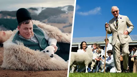 Ce au în comun Ghiță Ciobanul și Regele Charles? Ambii caută ciobani: „Și eu am tot 2.000 de oi, ca regele. M-am uitat de salariu în anuț, dar nu scrie”