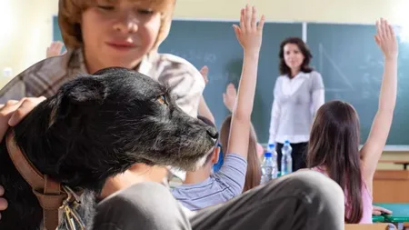 Învățământul românesc se transformă! Proiectul care propune ca elevii să studieze îngrijirea animalelor ca parte din curriculum
