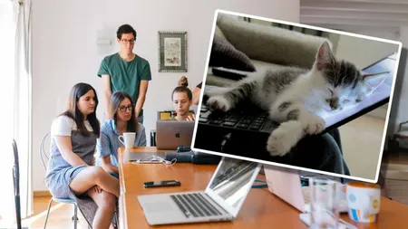 Metoda inedită prin care conducerea unei firme din Japonia vrea să țină ridicat moralul angajaților