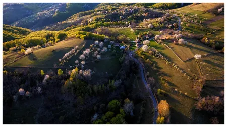 În ce localitate din România îți poți cumpăra o casă cu doar câteva mii de euro. Suma la care a fost scoasă locuința spre vânzare a șocat pe toată lumea