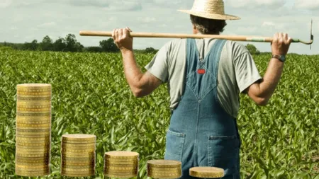 Obligație pentru fermieri! Trebuie să respecte condiționalitatea socială din 2025 pentru a primi plăți directe și compensatorii