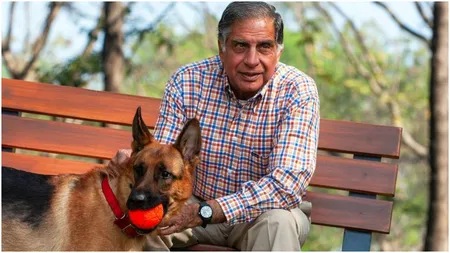 Suma enormă pe care un om de afaceri i-a lăsat-o câinelui său. Animalul de companie s-a ales cu o avere la care mulți oameni visează