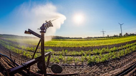 Noi ajutoare de la stat pentru fermieri. Cererile se depun de la 1 decembrie