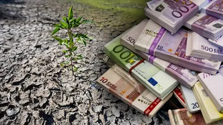 Ministerul Agriculturii începe plata despăgubirilor pentru fermierii afectați de secetă. Cuantumul acestora este de 2 miliarde de lei