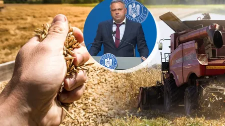 Ministrul Agriculturii, previziuni încurajatoare pentru anul viitor: În 2025, agricultura din România va fi una performantă, iar producţiile vor fi unele foarte mari