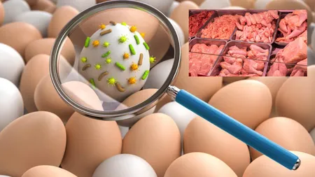 Pericol alimentar în România! Mii de ouă cu Salmonella și zeci de kilograme de carne, retrase urgent de la comercializare!