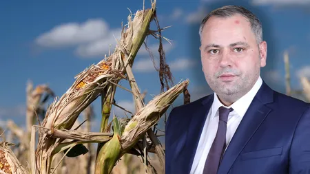 Ministrul Agriculturii, Florin Barbu, a anunţat că au început plăţile pentru despăgubirea fermierilor afectaţi de secetă