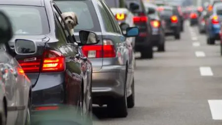 Cifra de afaceri din comerțul cu autovehicule şi motociclete, în creștere față de 2023