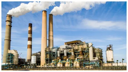 Va lua naștere, la Giurgiu, o fabrică de hârtie specială ce înlocuiește pungile de plastic. Investiția de 75 de milioane de euro va crea 200 de locuri de muncă