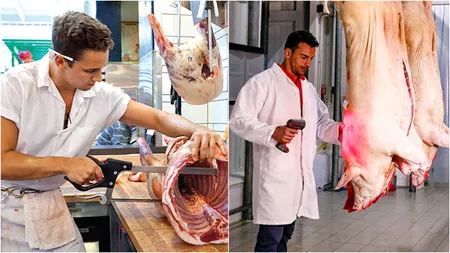 Măcelarii români au succes în Europa. Salariile din Occident ajung la 3.000 de euro pe lună