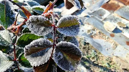 Prognoza meteo 22 octombrie. Schimbare radicală a vremii. Întâi soare, apoi temperaturile scad