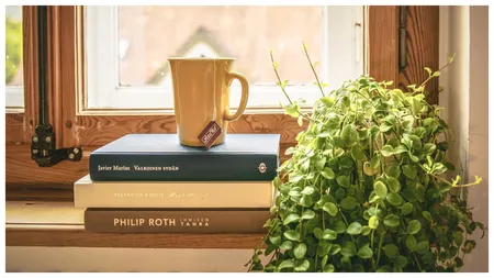 Cum să-ți îngrijești plantele de apartament iarna. Sfaturi simple pentru a le menține sănătoase și viguroase de-a lungul celor 90 de zile