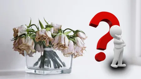 Ce să pui în apa din vază pentru ca florile să trăiască mai mult. Trucurile secrete folosite de florăresele cu experiență