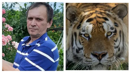 Fiica angajatului de la Grădina Zoologică Pitești, ucis de tigru, acuzații dure. Nu aveau echipamente. Era desfigurat