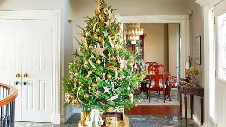 Cum să prelungești viața unui brad natural. 5 trucuri eficiente ca să nu se usuce prematur