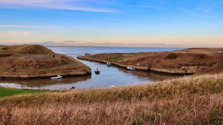 Cum să identifici o mulinetă feeder de încredere: sfaturi și recomandări