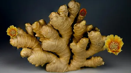 De ce se recomandă să consumi ghimbir în fiecare zi. Face minuni în multe privințe!
