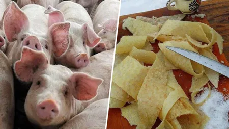 Șoriciul de porc a ajuns un produs de lux. Un angajat cu salariul minim pe economie ar trebui să muncească două zile jumate pentru a-și permite 1 kg de șorici