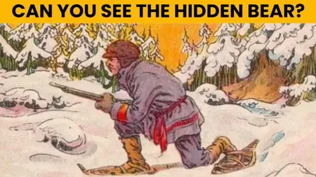 Test de IQ bazat pe iluzii optice: Doar 1% dintre oameni pot găsi ursul ascuns în 5 secunde